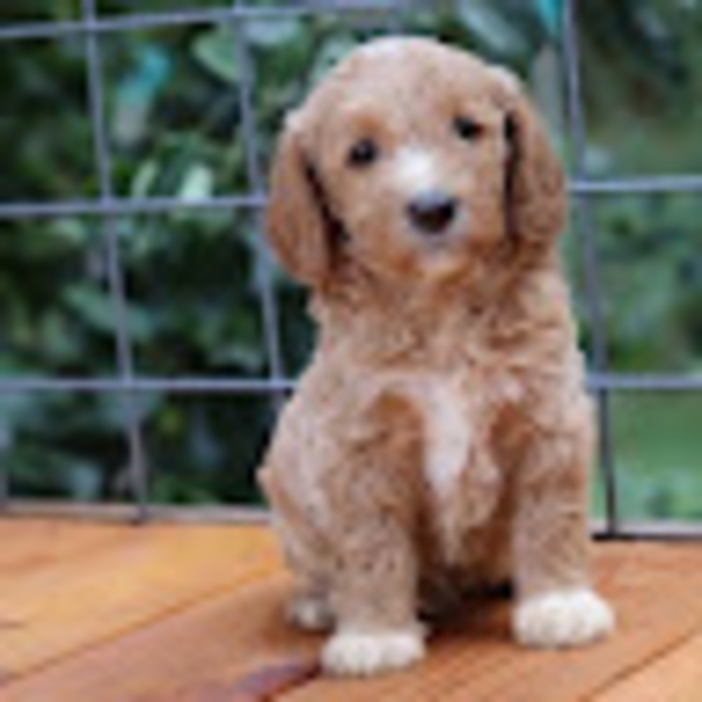 Meet your Posher, Lily